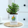 Gift Father's Day Jade Plant In Self Watering Planter