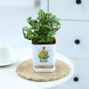 Father's Day Jade Plant In Self Watering Planter Online