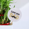 Shop Father's Day Love You Dad Bamboo Plant With Planter