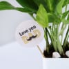 Shop Father's Day Love You Dad  Money Plant With Planter