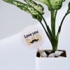 Shop Father's Day Love You Dad Snow White Plant With Planter