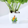 Shop Father's Day Money Plant In Blossom Planter