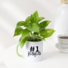 Gift Father's Day No 1 Papa Money Plant In A Mug