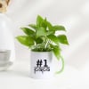 Father's Day No 1 Papa Money Plant In A Mug Online