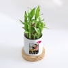 Gift Father's Day Personalized Bamboo Plant With Planter