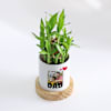Gift Father's Day Personalized Bamboo Plant With Planter