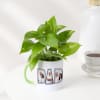 Gift Father's Day Personalized Money Plant In A Mug