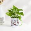 Father's Day Personalized Money Plant In A Mug Online