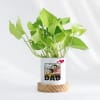 Father's Day Personalized Money Plant With Pot Online