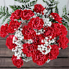 Gift Festive Fusion Red Carnations Christmas Arrangement