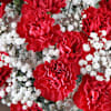 Buy Festive Fusion Red Carnations Christmas Arrangement