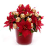 Festive Poinsettia And Chocolates Christmas Arrangement Online