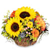 Fleurop Flower arrangement Sunny Kiss Online