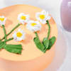 Shop Floral Peach Cake
