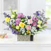 Floral Sorbet Online