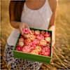 Gift Floral Soy Wax Candles Box