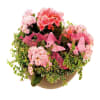 Florist's choice planting in a low bowl Online