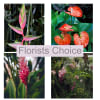 Florists Choice Online