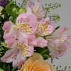 Gift Flower Bouquet Poetry