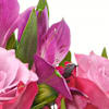 Gift Flower Bouquet Spring Bloom
