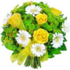 Flowers for goldilocks Online