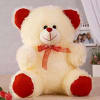 Fluffy Soft Teddy Bear Online
