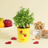 Forever Jade Mini Valentine Plant Online