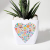 Gift Forever Yours - Haworthia Succulent With Planter