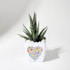 Forever Yours - Haworthia Succulent With Planter Online