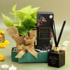 Fortune and Fragrance Gift Hamper for Diwali Online