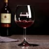 Fountain Aerating Wine Glass - Set Of 2 Online