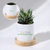 Fresh Beginnings - Haworthia Succulent With Personalized Pot Online