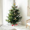 Fresh Christmas Tree And Decorations - Medium Online