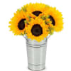 Fresh Sunflower Harvest Online