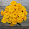 Frisco'd - 40 Yellow Spray Roses Bouquet Online