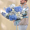 Buy Frosted Hues