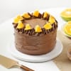 Fruitful Fantasy Chocolate Cake (Half kg) Online