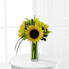 FTD Sunshine Daydream Bouquet Online