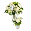 Full of happiness green-white Online