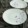 Buy Full Plates with Botanical Design (Set of 6)
