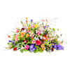 Funeral - Colour splendor Online