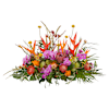 Funeral - Tropical garden Online