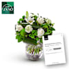 Galeria Inno Bouquet Online