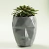 Gift Geometric Face Resin Planter - Without Plant