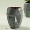 Geometric Face Resin Planter - Without Plant Online