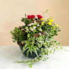 Giardino della memoria Online