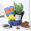 Gift Hamper with Chocolates and a Plant Online