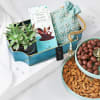 Gift Hamper with Nuts and a Succulent Online