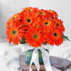 Glass Vase Arrangement of 10 Orange Gerberas Online
