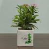 Shop Go Green Personalized Planter Pot Set